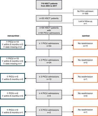 Prognostic factors and predictive scores for 6-months mortality of hematopoietic stem cell transplantation recipients admitted to the pediatric intensive care unit